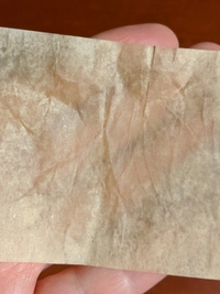 1526594474_1.jpg?f=webp&w=200