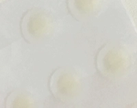 1554407806_1.PNG?f=webp&w=200