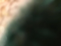 1561504737_1.jpeg?f=webp&w=200