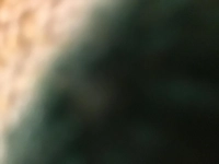 1561505175_1.jpeg?f=webp&w=200