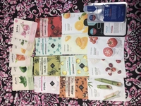 1568879755_1.JPG?f=webp&w=200