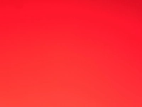 1584062016_1.jpg?f=webp&w=200