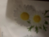 1586985307_2.jpg?f=webp&w=200