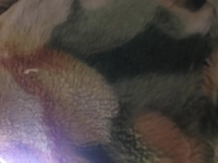 1599980043_1.jpg?f=webp&w=200