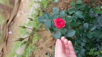 1614076499_1.jpg?f=webp&w=200