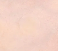 1617497288_1.jpg?f=webp&w=200