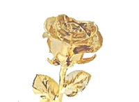 1617719237_2.PNG?f=webp&w=200