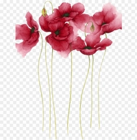 1617720158_2.png?f=webp&w=200
