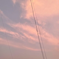 1617882511_1.jpeg?f=webp&w=200