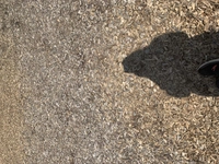 1619287043_1.jpg?f=webp&w=200