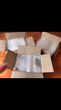 1628000081_1.png?f=webp&w=200