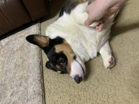 1638157691_1.jpeg?f=webp&w=200