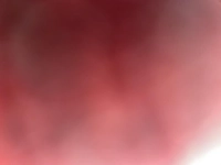 1640657265_1.jpg?f=webp&w=200