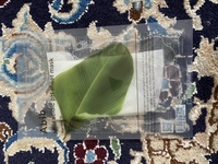 1646413240_1.jpeg?f=webp&w=200