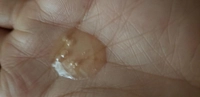 1646584983_1.jpg?f=webp&w=200