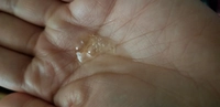 1646585120_2.jpg?f=webp&w=200