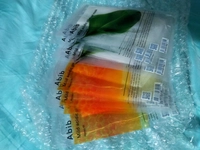 1648270852_2.jpg?f=webp&w=200