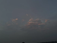 1650280494_1.jpeg?f=webp&w=200