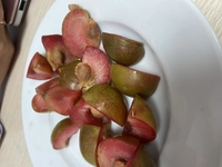 1650350730_1.jpg?f=webp&w=200