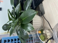 1650351319_1.jpg?f=webp&w=200