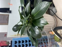 1650351518_1.jpg?f=webp&w=200