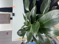 1650351847_1.jpg?f=webp&w=200