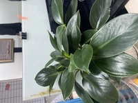 1650351872_1.jpg?f=webp&w=200