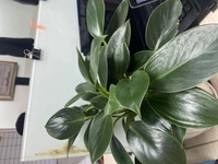 1650351996_1.jpg?f=webp&w=200