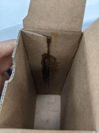 1650880735_1.jpg?f=webp&w=200