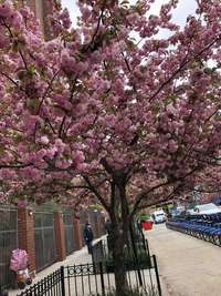 1651057161_1.jpeg?f=webp&w=200