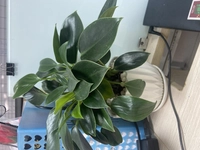 1652923952_1.jpg?f=webp&w=200