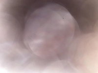 1654338641_2.jpeg?f=webp&w=200