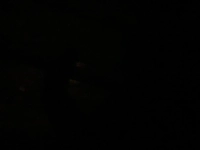 1655180977_1.jpeg?f=webp&w=200