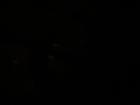 1655181325_2.jpeg?f=webp&w=200