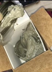 1655185482_1.jpg?f=webp&w=200