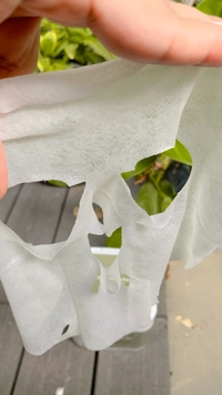 1658129942_1.jpeg?f=webp&w=200