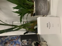 1660634439_1.jpeg?f=webp&w=200