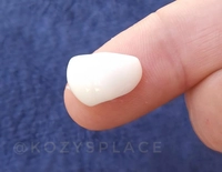 1661943992_3.jpeg?f=webp&w=200