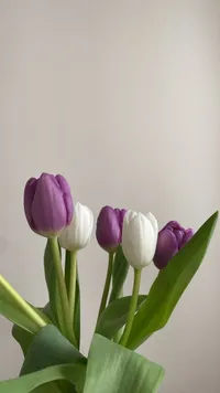 1664165257_1.jpeg?f=webp&amp;w=200