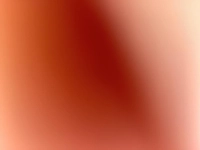 1665504380_1.jpg?f=webp&w=200