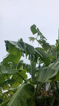 1666008176_3.jpeg?f=webp&w=200