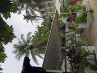 1666008219_3.jpeg?f=webp&w=200