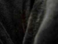 1666077564_2.jpg?f=webp&w=200