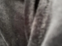 1666077977_3.jpeg?f=webp&w=200