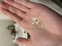 1666235347_1.jpeg?f=webp&w=200