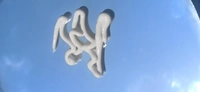 1667808837_2.jpg?f=webp&w=200