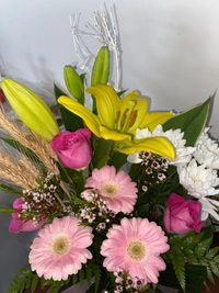 1668341072_1.jpeg?f=webp&w=200