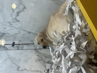 1669450254_1.jpeg?f=webp&w=200