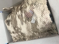 1669516704_1.jpeg?f=webp&w=200