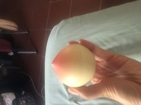 1669619807_1.jpeg?f=webp&w=200